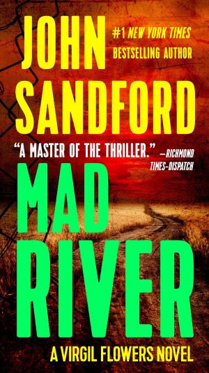 Cover of the book Mad River by J.D. Tyler