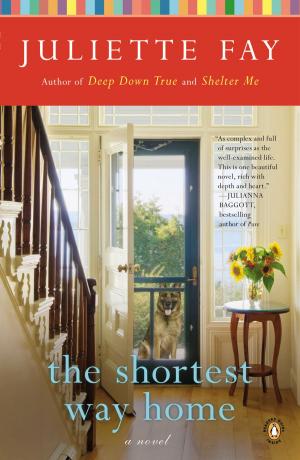 Cover of the book The Shortest Way Home by Christine Feehan