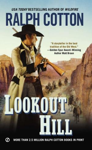 Cover of the book Lookout Hill by David Schickler
