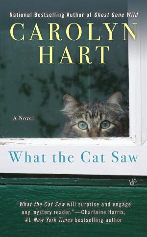 Cover of the book What the Cat Saw by Kat Richardson