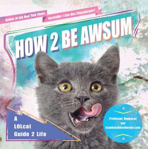 Cover of the book How 2 Be Awsum by Jackson MacKenzie