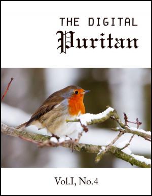 Book cover of The Digital Puritan - Vol.I, No.4