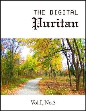 Book cover of The Digital Puritan - Vol. I, No.3