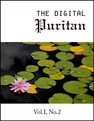 Book cover of The Digital Puritan - Vol. I, No.2