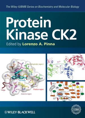 Book cover of Protein Kinase CK2