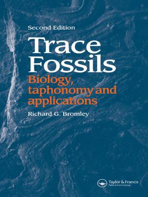Cover of the book Trace Fossils by Antonio Almodovar, Jose Luis Cardoso