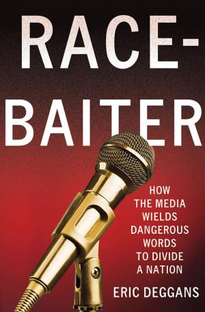 Cover of the book Race-Baiter: How the Media Wields Dangerous Words to Divide a Nation by Doris Lehman