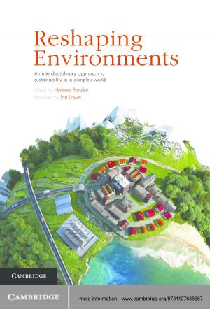 Cover of the book Reshaping Environments by Anna Matassoni