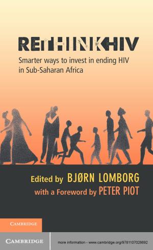 Cover of the book RethinkHIV by 