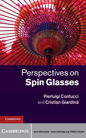 Cover of the book Perspectives on Spin Glasses by John W. Berry, Ype H. Poortinga, Seger M. Breugelmans, Athanasios Chasiotis, David L. Sam