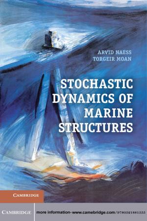 Cover of the book Stochastic Dynamics of Marine Structures by Damian Caluori