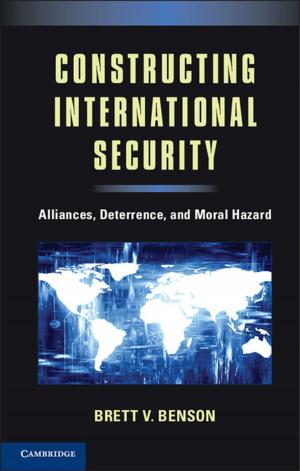 Cover of the book Constructing International Security by David R. DeWalle, Albert Rango