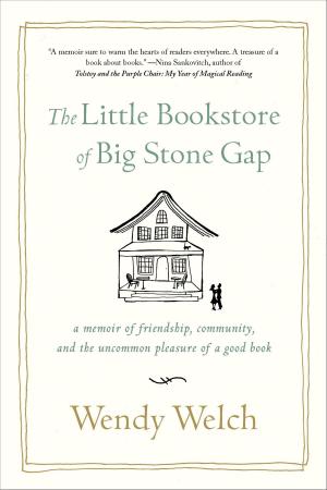 Cover of the book The Little Bookstore of Big Stone Gap by Opal Carew