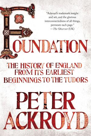 Cover of the book Foundation by Roger Priddy