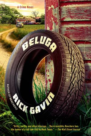 Cover of the book Beluga by Donna Andrews