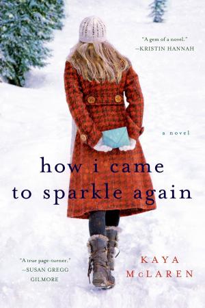 Cover of the book How I Came to Sparkle Again by Olivia Drake
