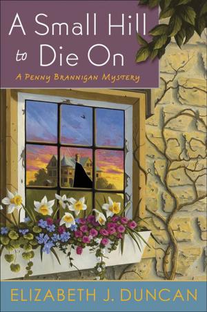 Cover of the book A Small Hill to Die On by Susan Donovan