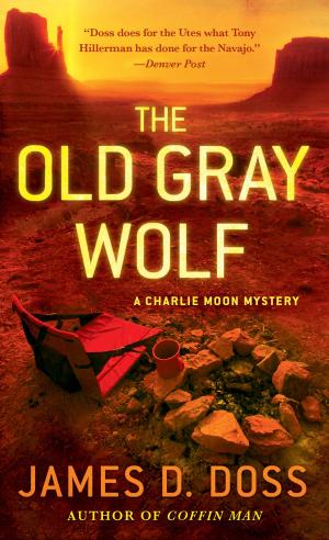 Cover of the book The Old Gray Wolf by Casey Griffin