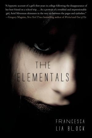 bigCover of the book The Elementals by 