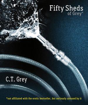 Cover of the book Fifty Sheds of Grey by Donna Hill