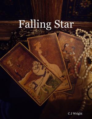 Cover of the book Falling Star by Doreen Milstead