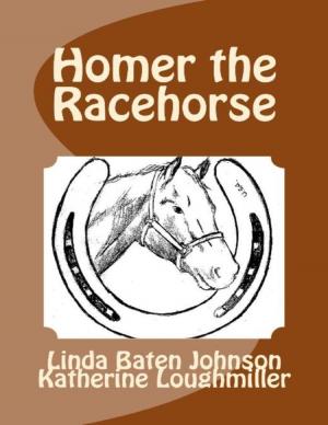 Cover of the book Homer the Racehorse by Vanessa Carvo