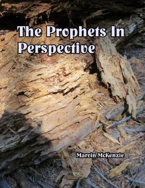 Cover of the book Prophets in Perspective by John O'Loughlin