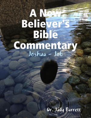 Cover of the book A New Believer's Bible Commentary: Joshua - Job by Alasdair Douglas-Hamilton