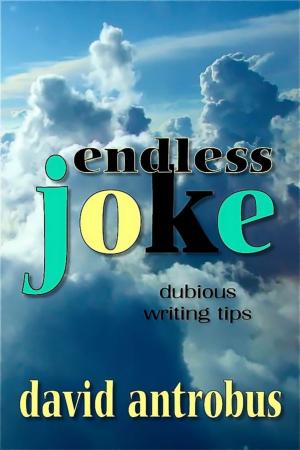 Cover of the book Endless Joke by Michael Lamendola