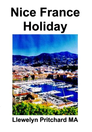 Book cover of Nice France Holiday