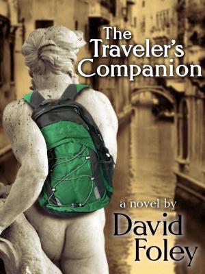 Cover of the book The Traveler's Companion by Andreas Muschke