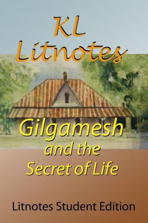 bigCover of the book Gilgamesh and the Secret of Life Litnotes Student Edition by 