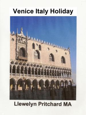 bigCover of the book Venice Italy Holiday by 