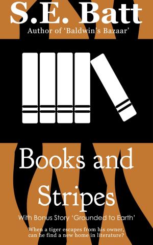 Cover of the book Books and Stripes by S.E. Batt