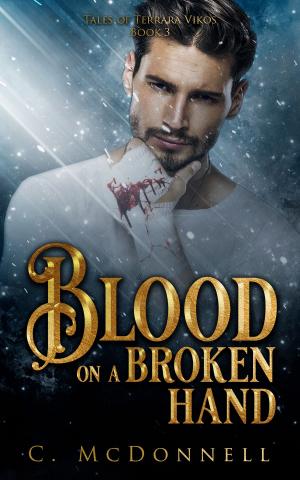 Cover of the book Blood on a Broken Hand: Tales of Terrara Vikos #3 by Wendy               Bell Scott