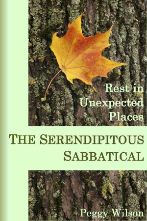 Cover of the book The Serendipitous Sabbatical: Rest in Unexpected Places by Nicholas Papanicolaou