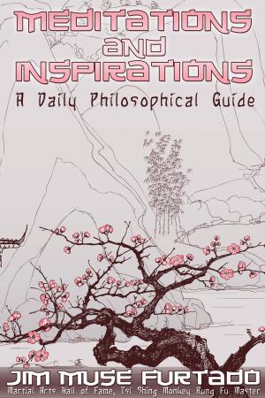 Cover of the book Meditations and Inspirations by Beryl F Hunter