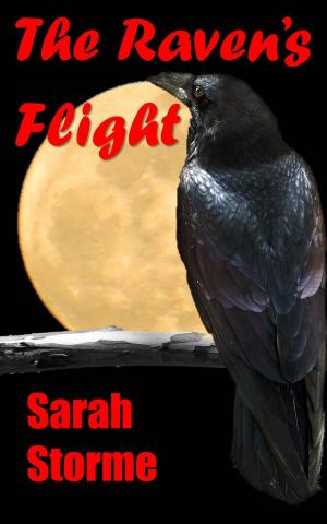 Cover of the book The Raven's Flight by RJ Crayton