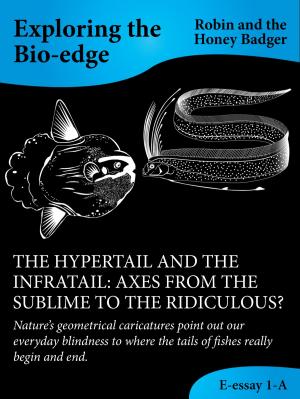 Book cover of The Hypertail And The Infratail: Axes From The Sublime To The Ridiculous?