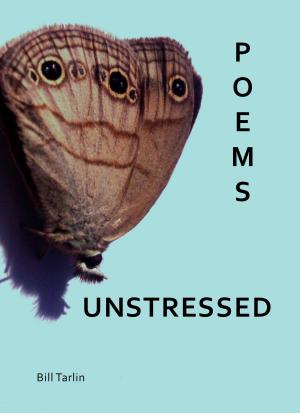 Cover of the book Poems Unstressed by Dino Campana