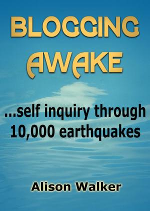 Book cover of Blogging Awake: self inquiry through 10,000 earthquakes