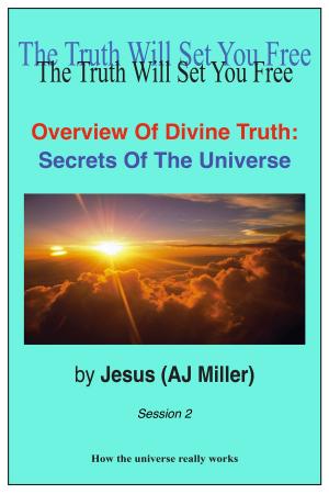bigCover of the book Overview of Divine Truth: Secrets of the Universe Session 2 by 