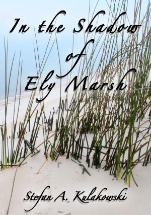 Cover of the book In the Shadow of Ely Marsh by Aurélien Poilleaux