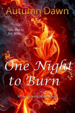 Cover of the book One Night to Burn by Jourdan Lane