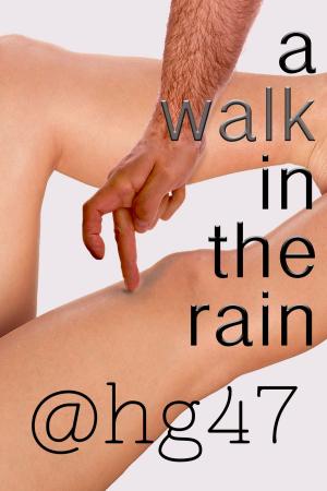 Cover of the book A Walk In The Rain by Mary Martinez