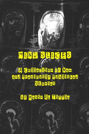 bigCover of the book Mind Slices: A Collection of New and Previously Published Stories by 