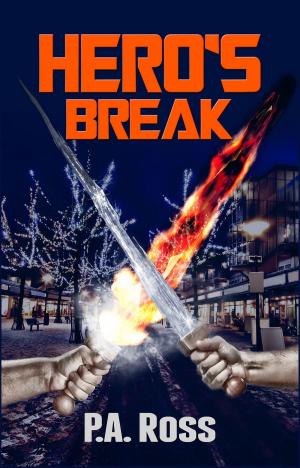 Cover of the book Hero's Break by Nina Croft