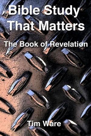 Cover of the book The Book of Revelation by Mark Dee Van Wagoner