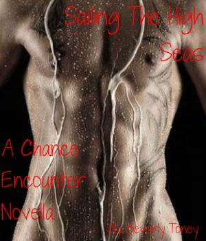 Cover of the book Sailing The High Seas (A Chance Encounter Novella) by Ana Lynne