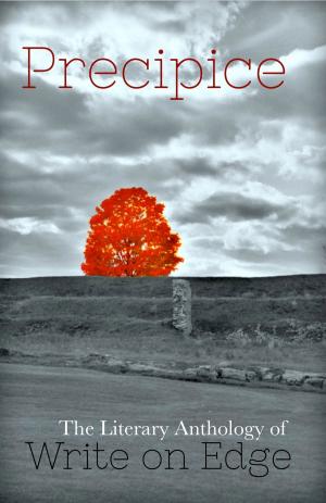 Cover of Precipice: The Literary Anthology of Write on Edge